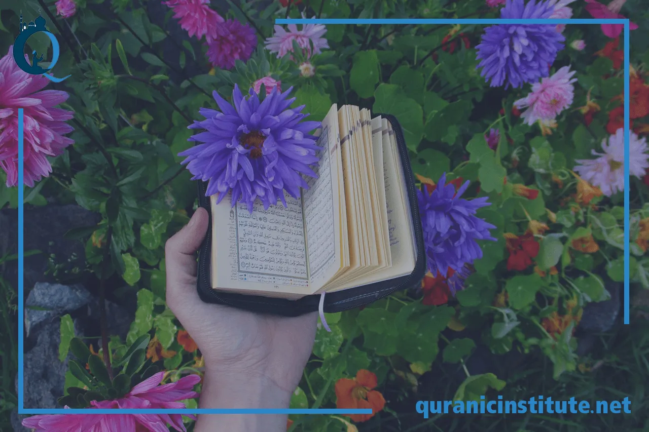 Image for Quran lessons for adults at Rabwa Academy