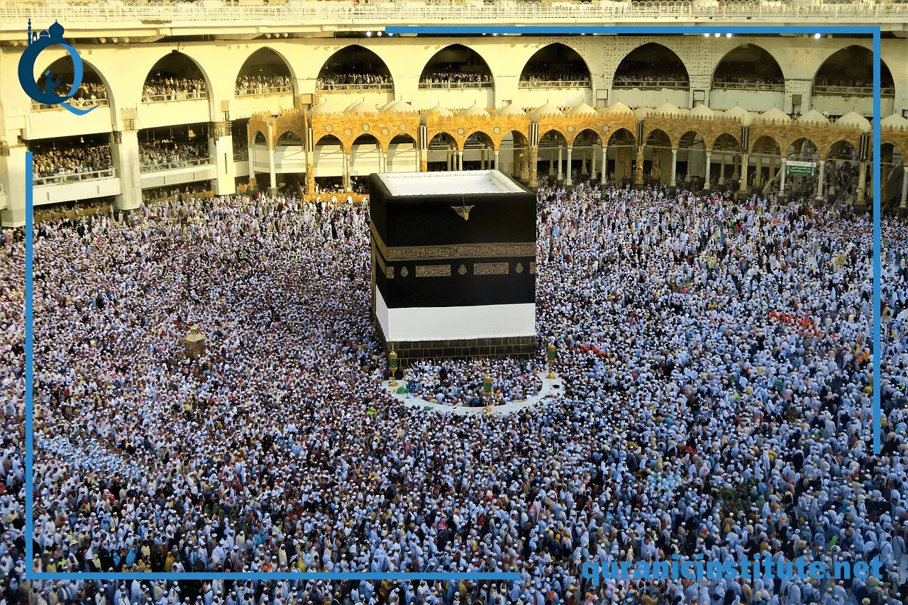 Image for Best app to learn how to read Quran at Rabwa Academy